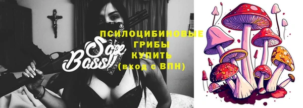дживик Аркадак