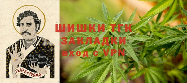 гидра Армянск
